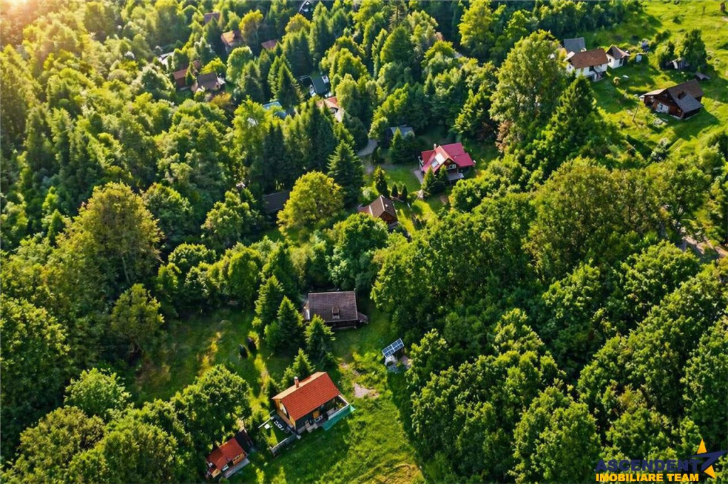 FILM!2.000 mp teren in miracolul naturii autentice casa caba