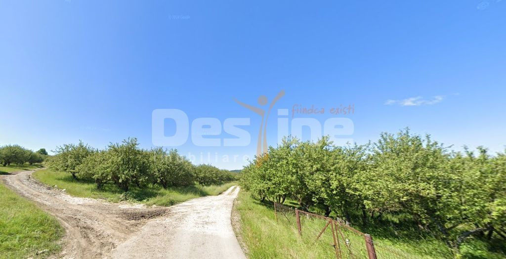 Teren de Vânzare – 34.485 mp | Câmpulung Muscel | Ved...