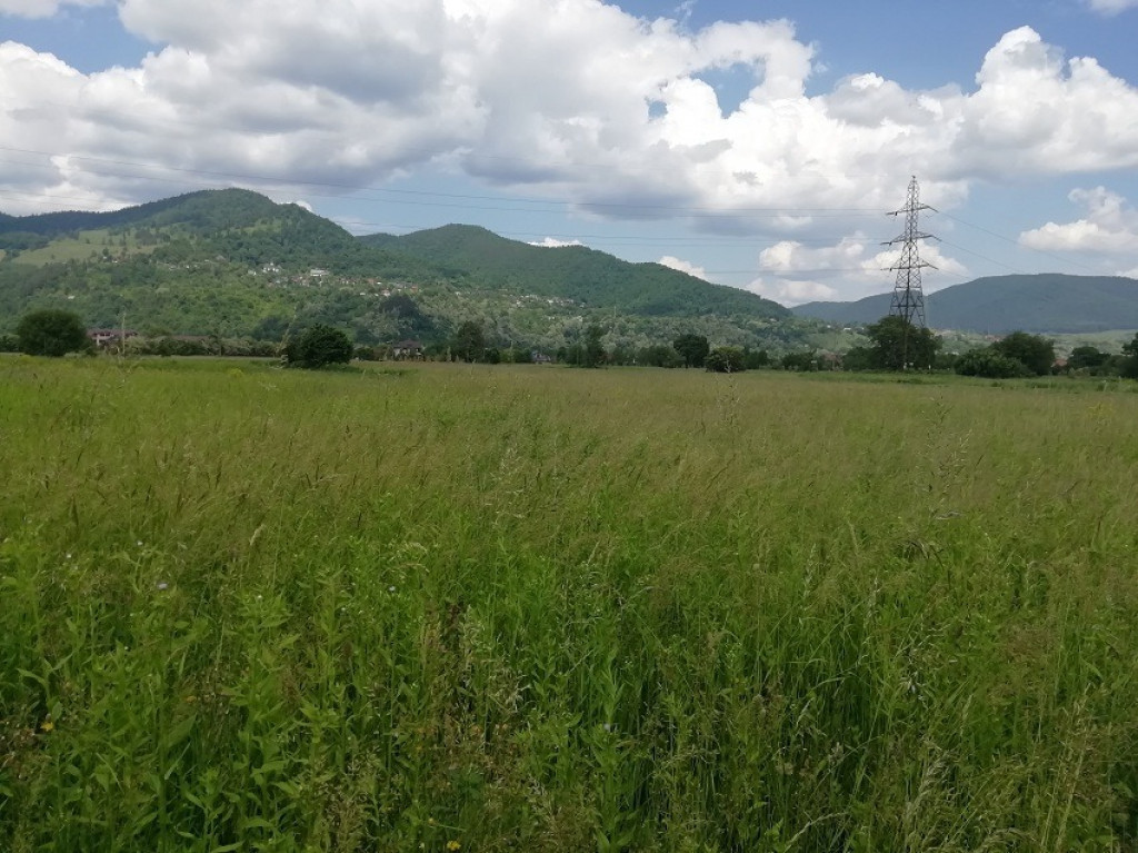 Teren Vaduri, com.Al.cel Bun