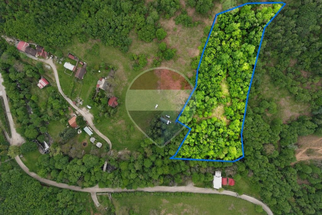 Teren intravilan, 6700 mp, Curent, Zonă populată, Apuse...