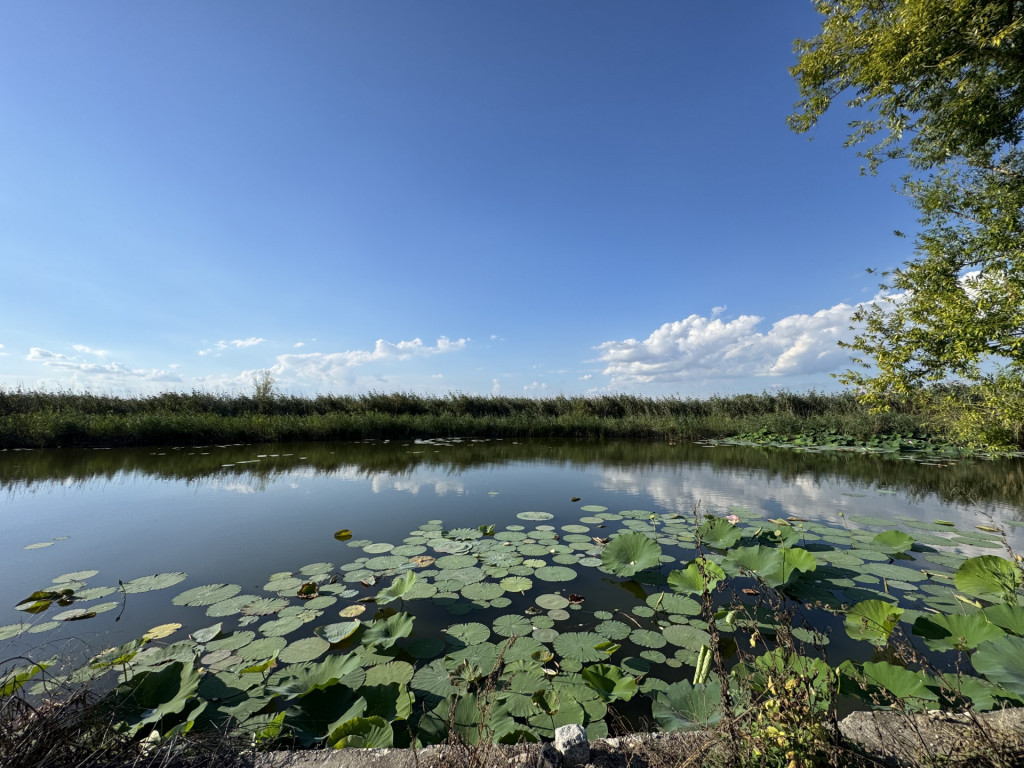 Teren cu deschidere la lac I Snagov