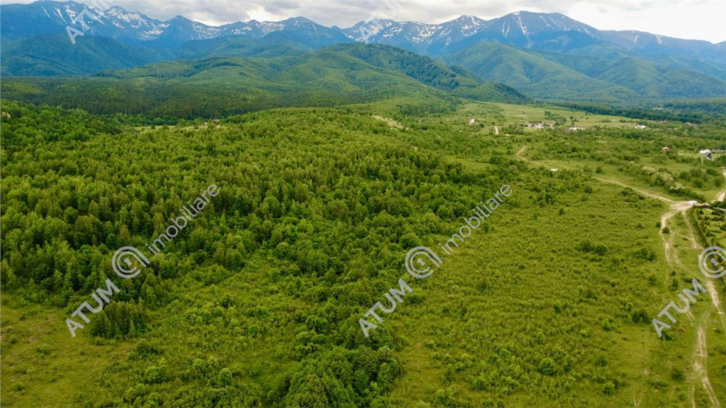 Teren intravilan 3021 mp in zona Avrig din Sibiu