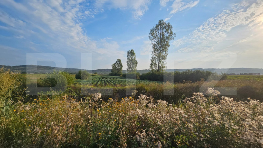 Teren de vanzare la drumul judetean, Pericei, zona Keller.