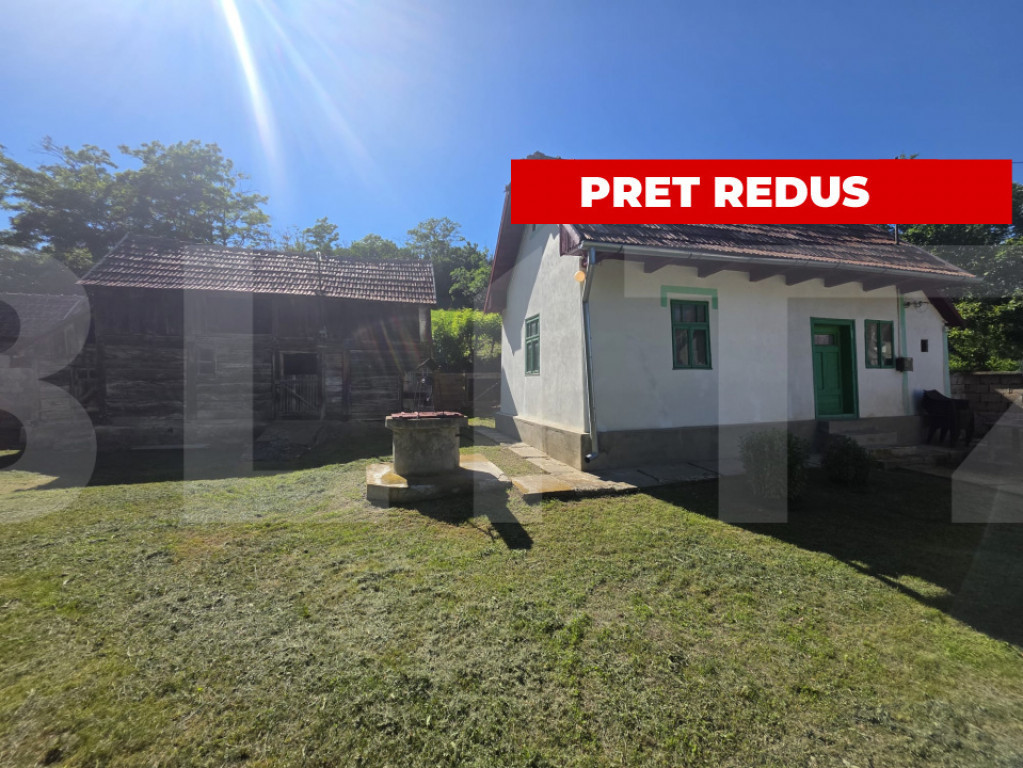 Casa traditionala din lemn in satul Zoltan