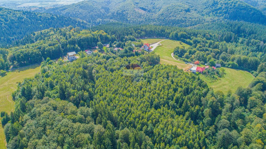 Teren extravilan Poiana Marului 8000mp, inconjurat de padure