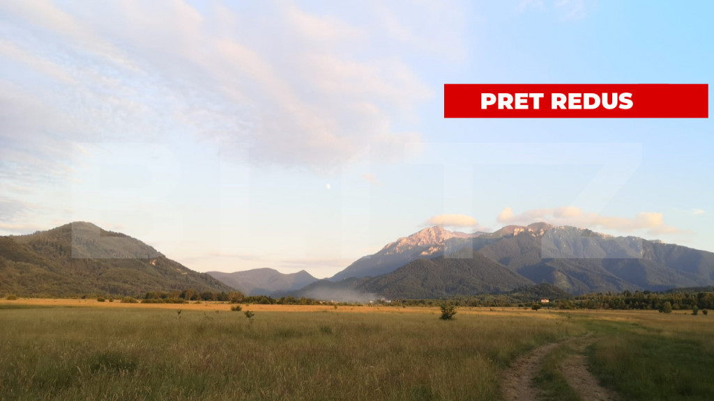 Teren extravilan 7000mp, cu posibilitate de trecere in intra