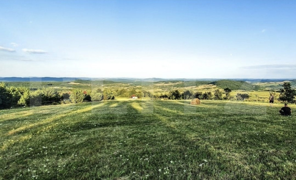 Teren intravilan, 1000 mp, zona Treznea