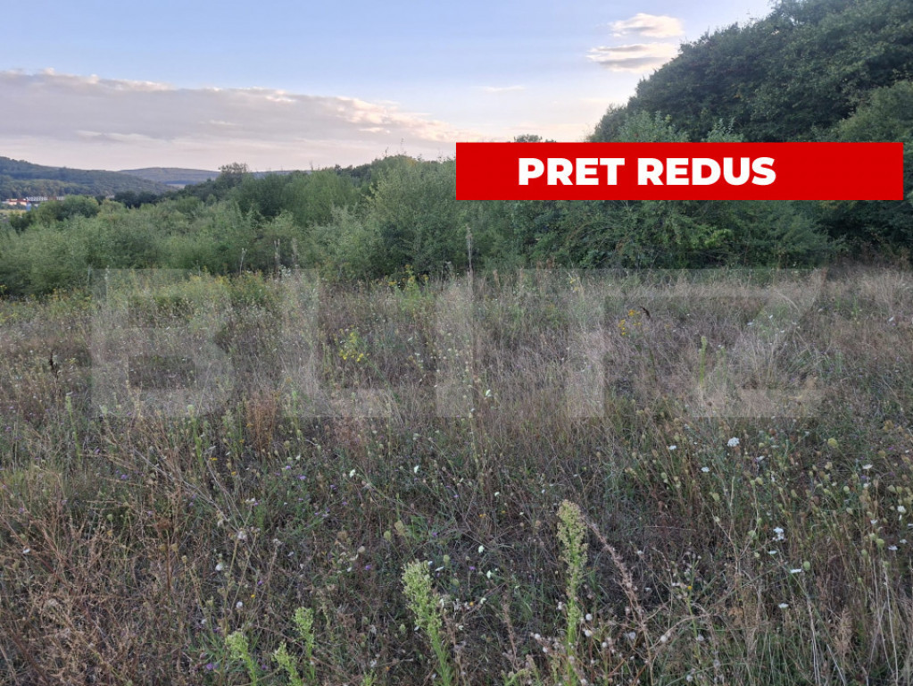 Teren extravilan, 5.100 mp, zona Livezeni