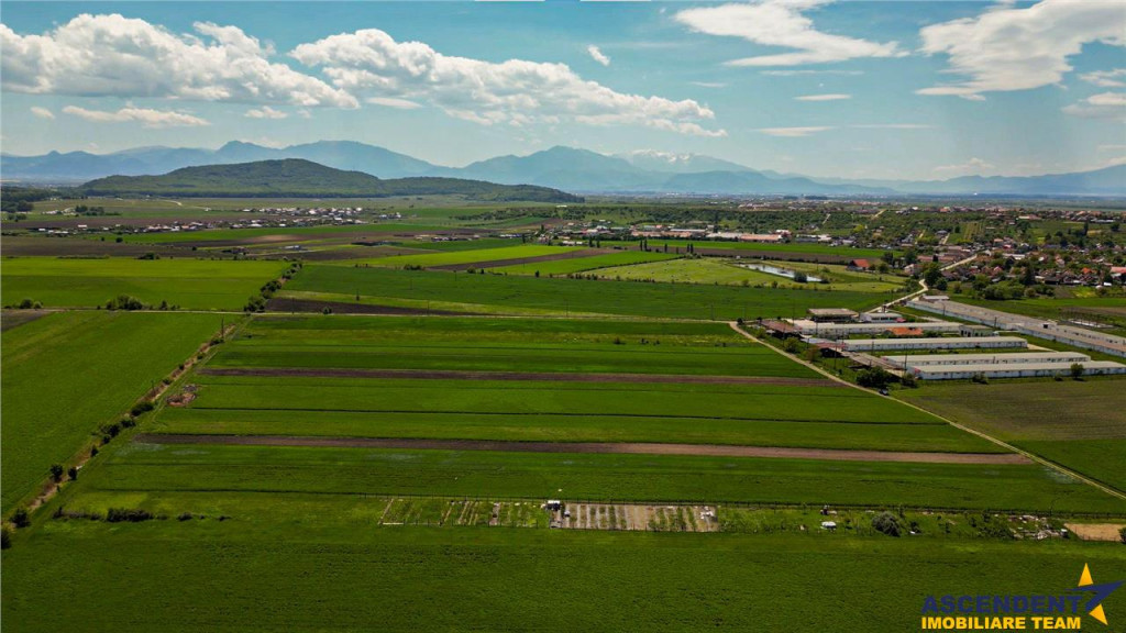 FILM! Teren extravilan 5.000 mp in zona linistita cu acces f