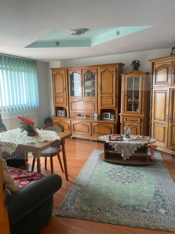 Vilă D+P+1+M - lux Dorohoi – 228 mp utili, teren 2.300 mp