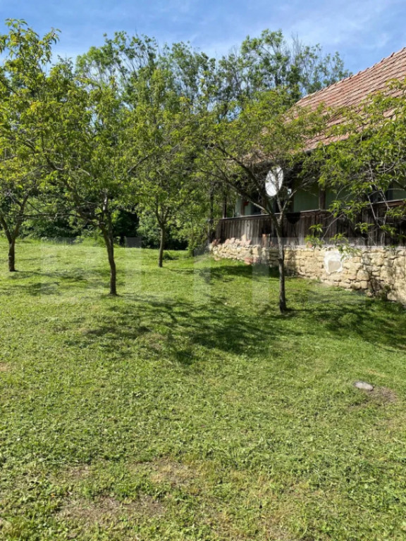 Oaza de liniste:Casa individuala cu livada roditorare si ter