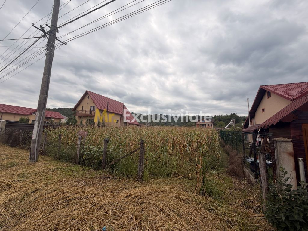 Teren pretabil unei construcții de vis - Băbana - zonă...