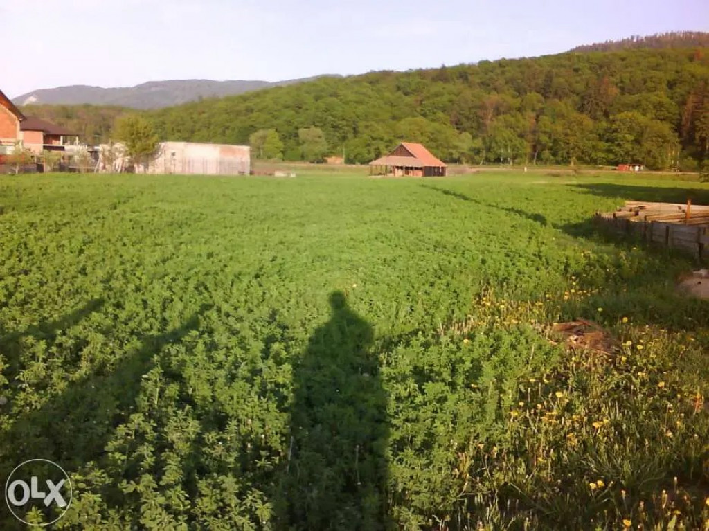 Parcele teren intravilan 500mp Cristian