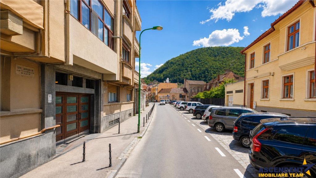 2 camere cu caracter, regim vila, echipate, panorama montana