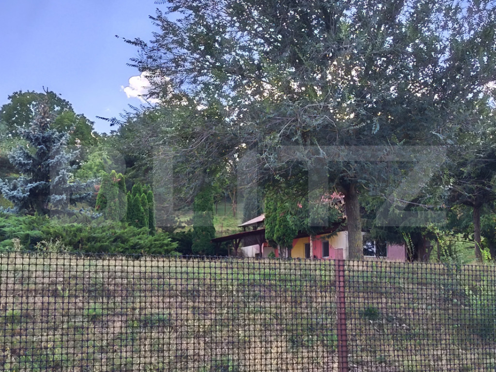 Teren de vanzare, 6500 mp cu livada, zona Mihai Viteazu