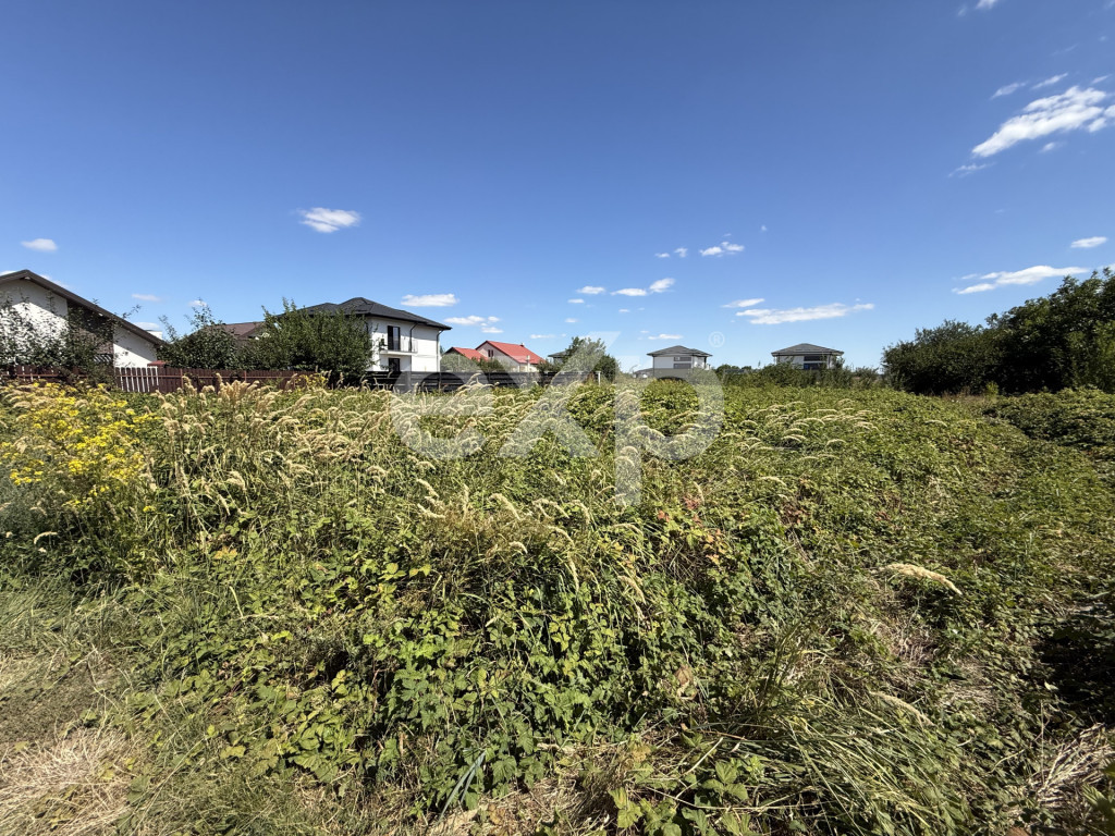 Teren intravilan de vânzare – Iași, Vorovești | 981 mp