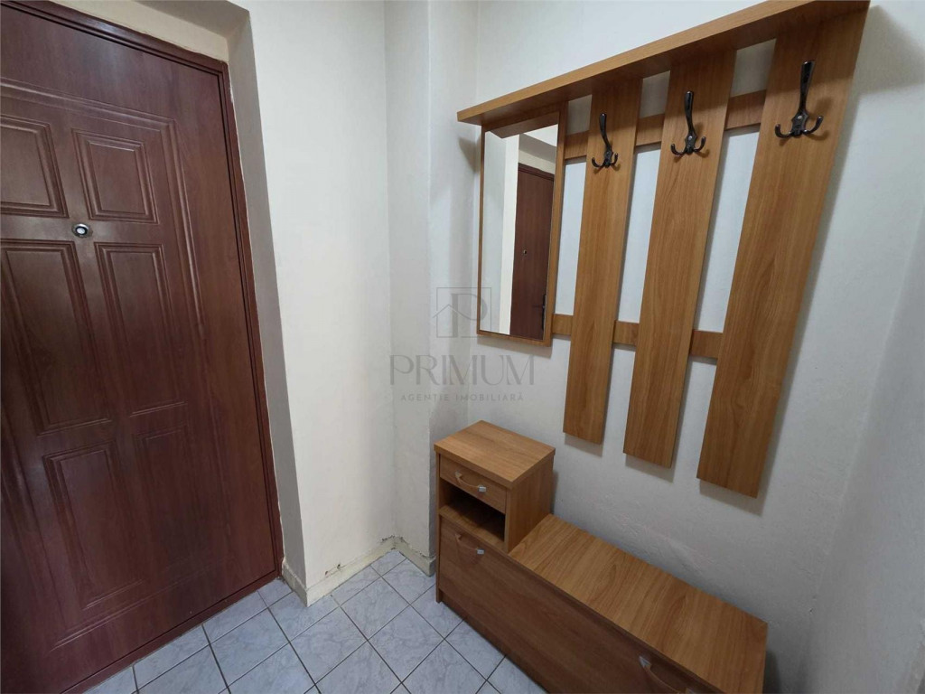 Apartament 1 camera-Elisabetin