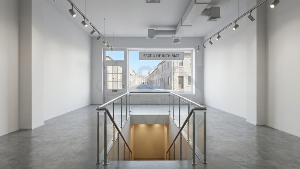 Spatiu comercial Erou Iancu Nicolae stradal