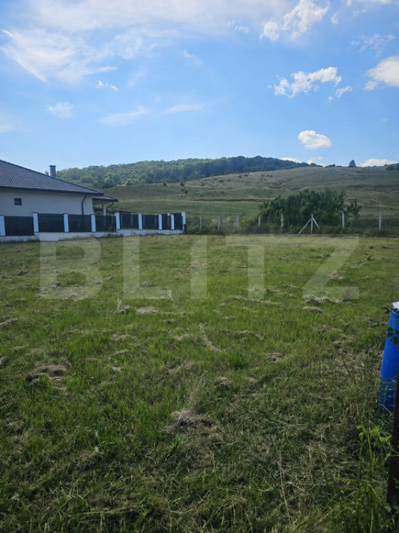 Teren intravilan, 930 mp, zona Viisoara