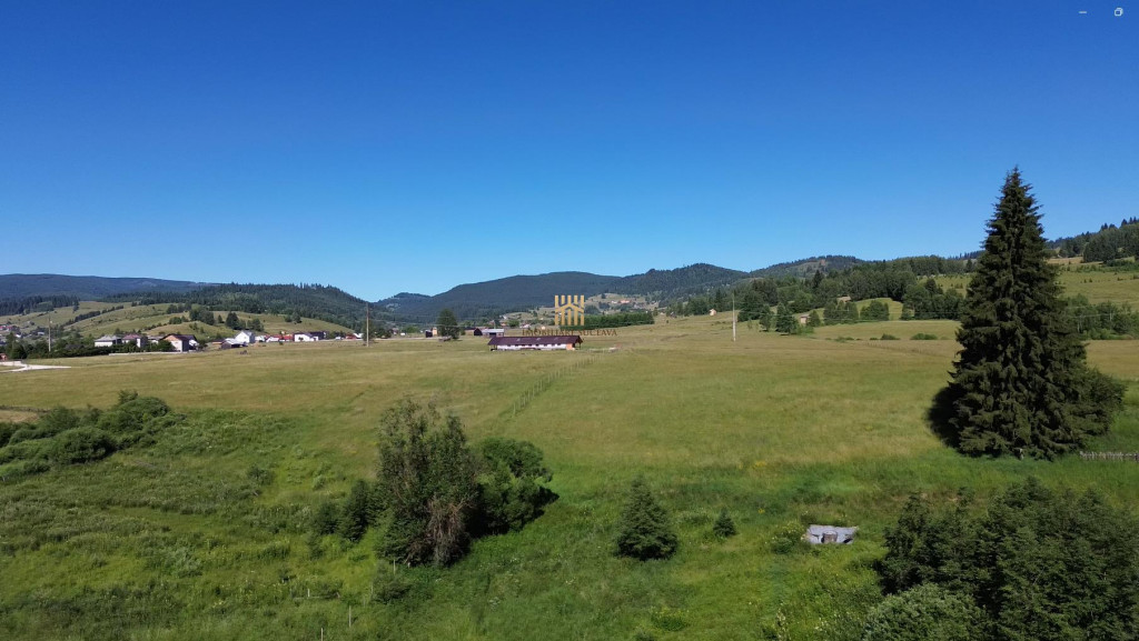 TEREN IN BUCOVINA DE V#194;NZARE | #536;ARU DORNEI VATRA DOR