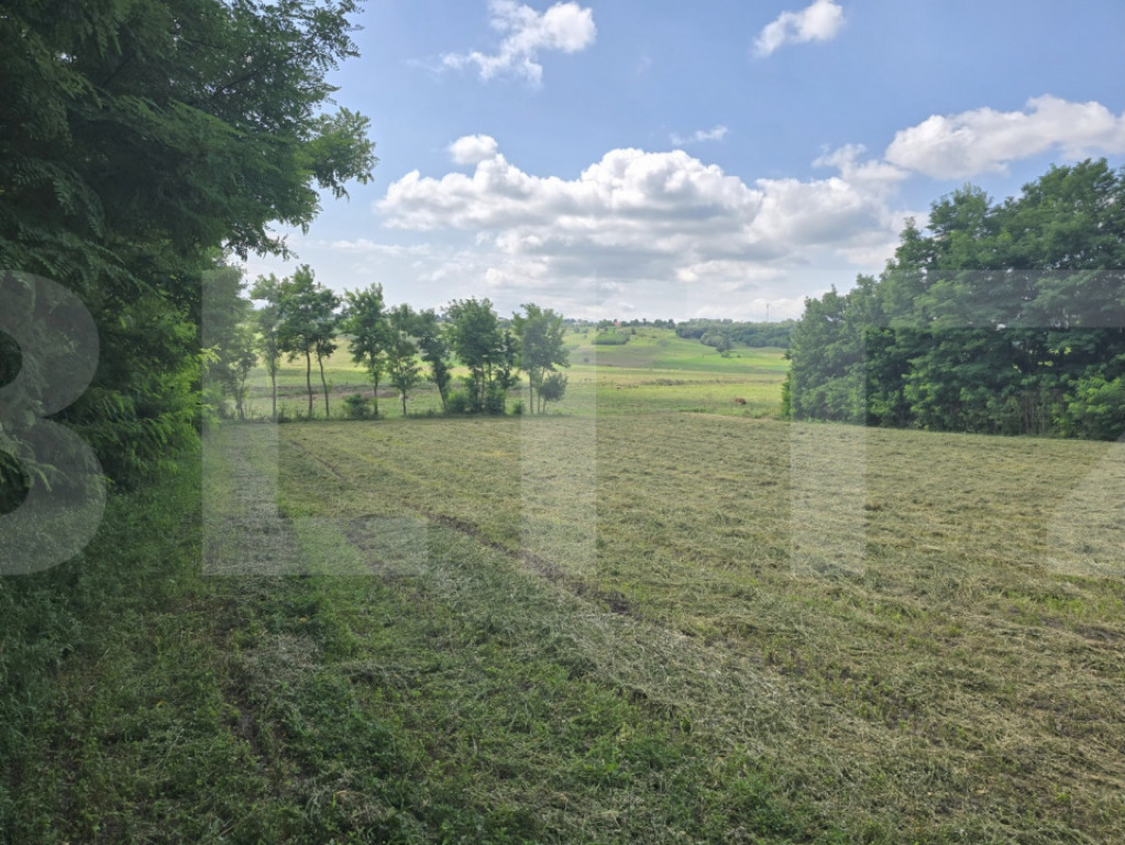 Teren intravilan, 4.725 mp, zona Roma