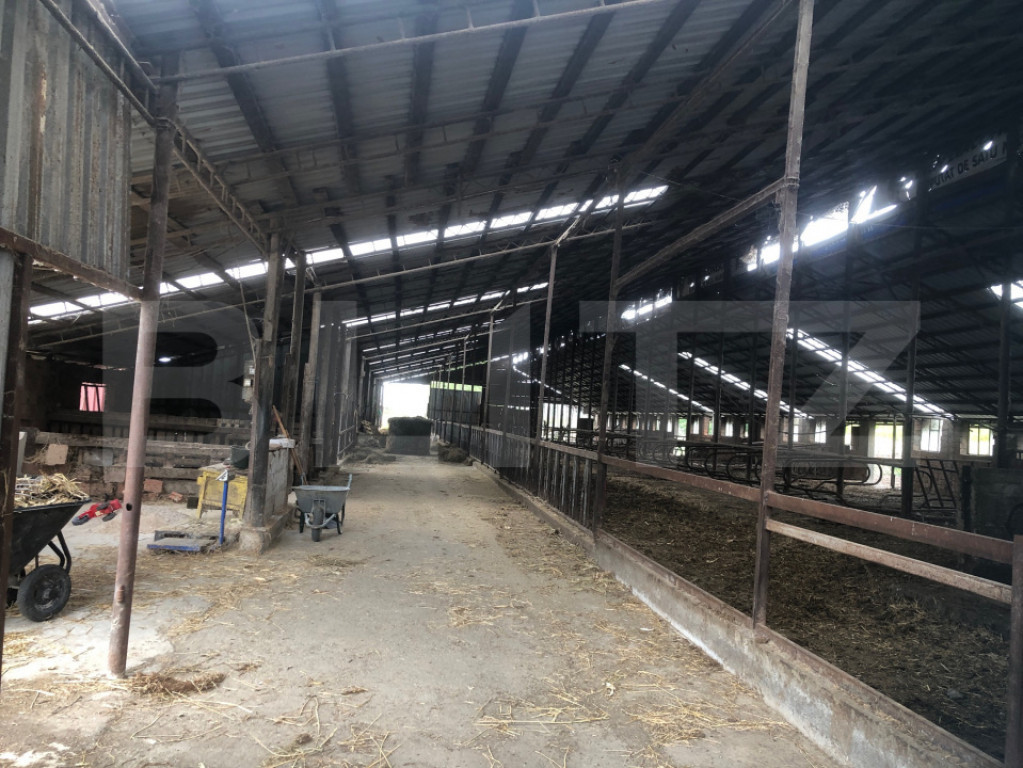 Teren de vanzare, 15.000 mp, ferma, zona Mărtinești