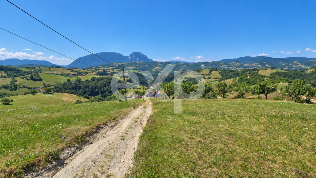 1061 mp în Poiana Mărului | Teren cu potențial, la doar 1