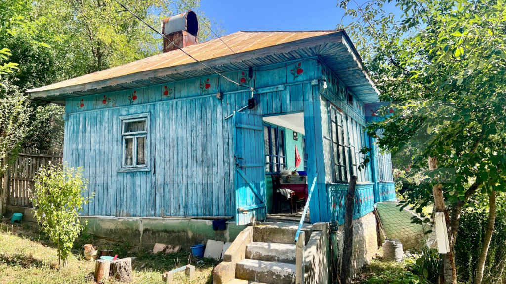Casa de vacanta, vedere panoramica, 10.000 mp teren, Unguren