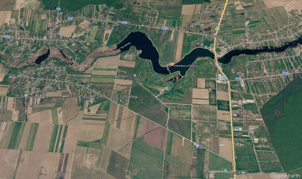 Snagov-str. Piersicariei
