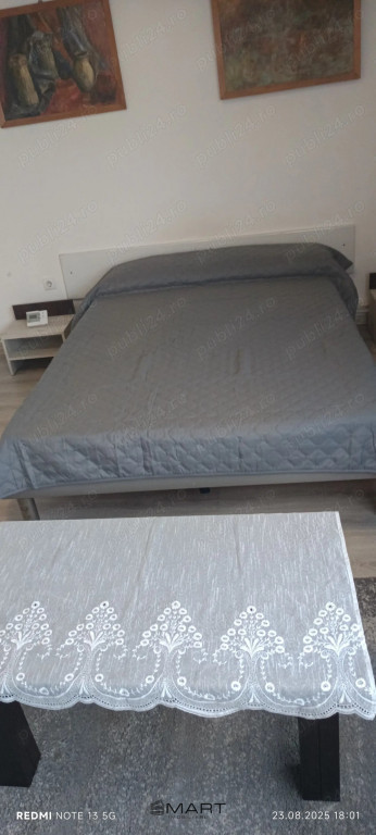 Iapartament 2 camere Terezian