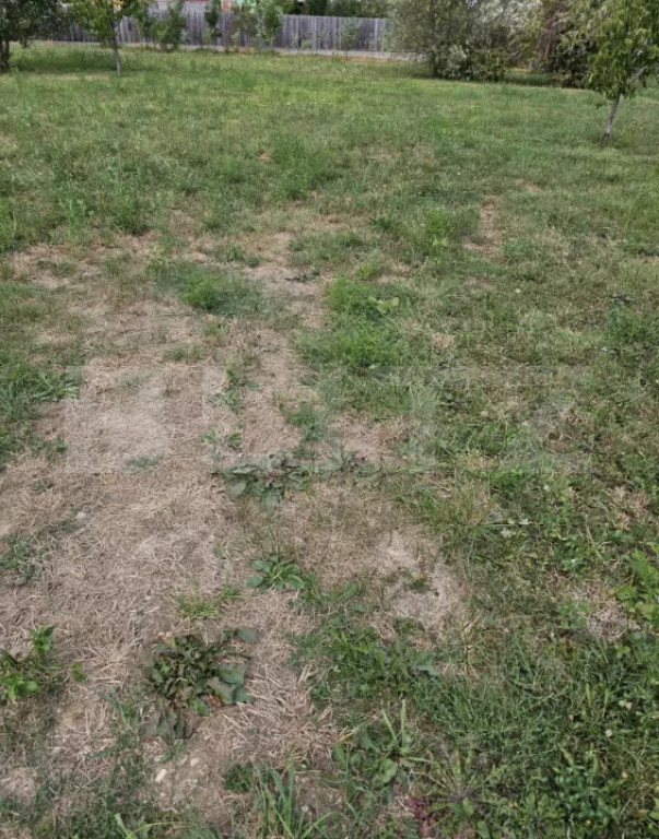Teren intravilan 1.882 mp, toate utilitățile, zona Găvana