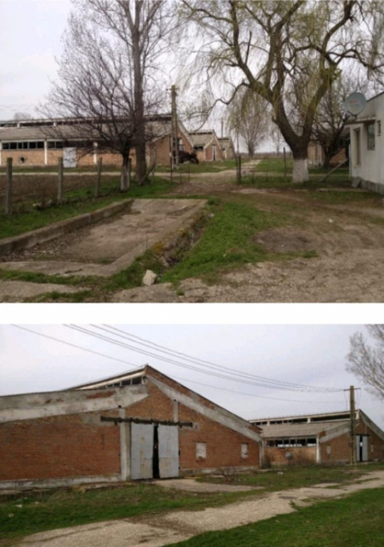 Ferma zootehnica,agro-industrial multifunctional,53736mp ter