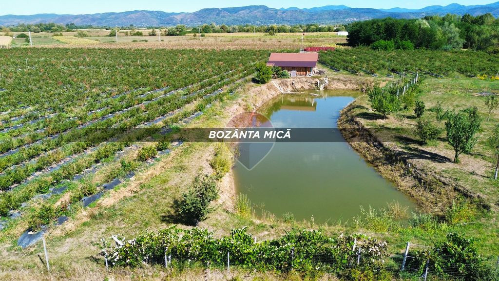 Teren 29,656mp Bozanta Mica / Strada Deva