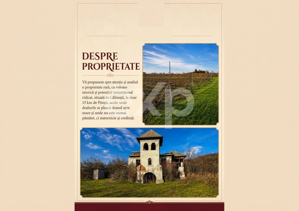 Domeniu viticol 5,5 ha, Conac boieresc | Călinești, Argeș