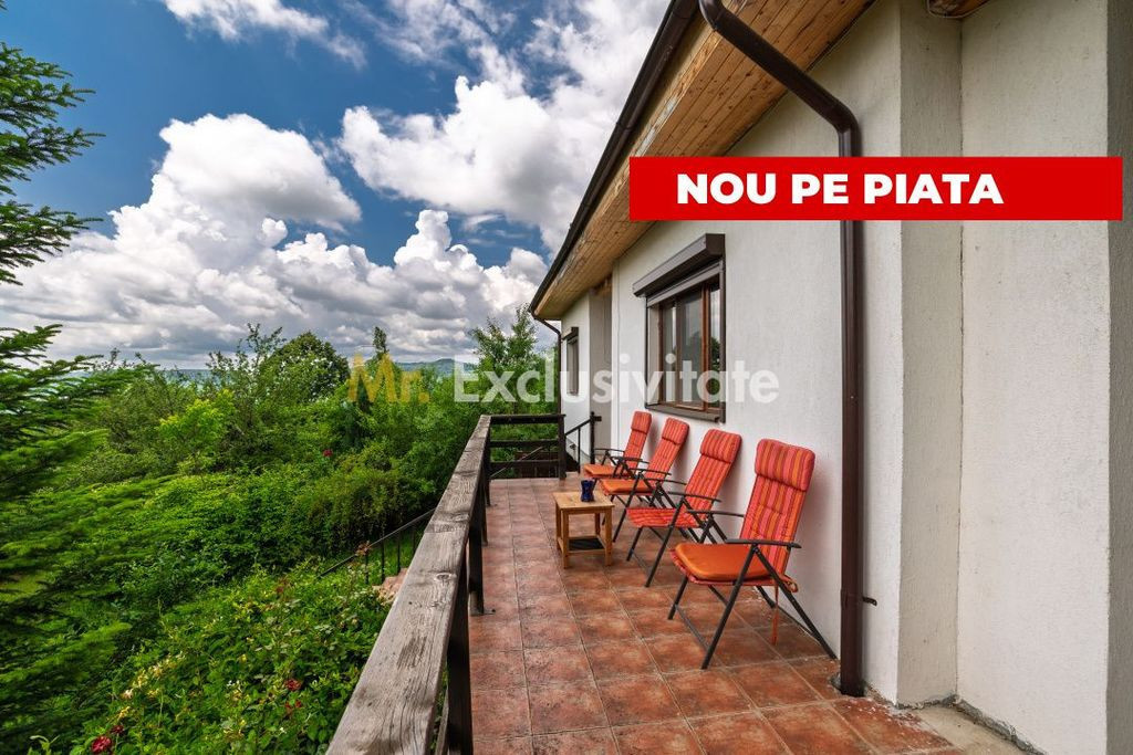 Casa moderna si casa bunicii + 6300 mp teren,Oaza autenti...