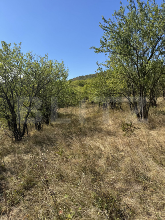 Teren intravilan de vanzare, 1.400 mp, zona Viile Noi