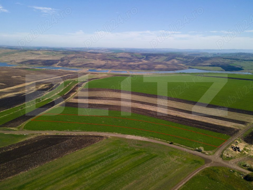 Teren de vanzare, 8.000 mp, zona Copaceni