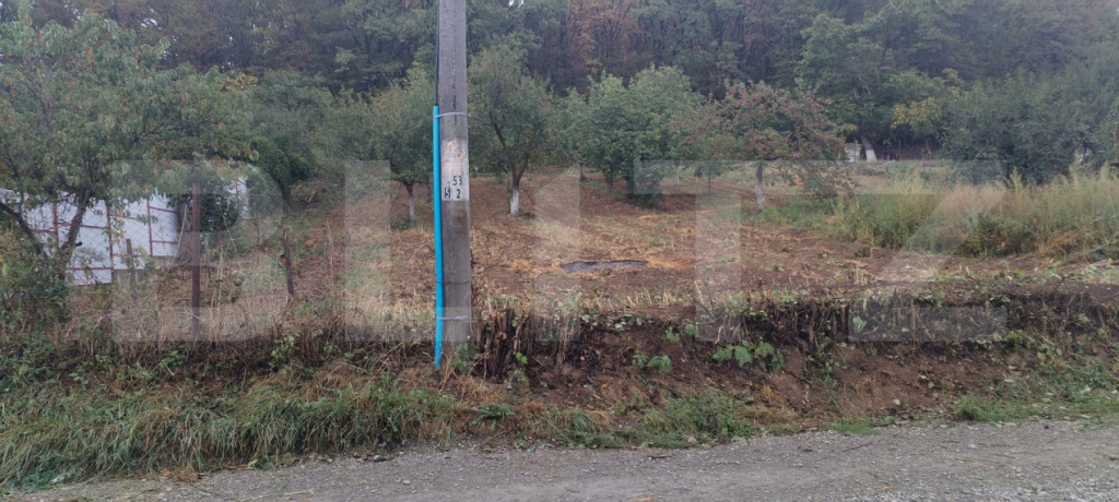 Teren intravilan 1.100 mp în Ortelec