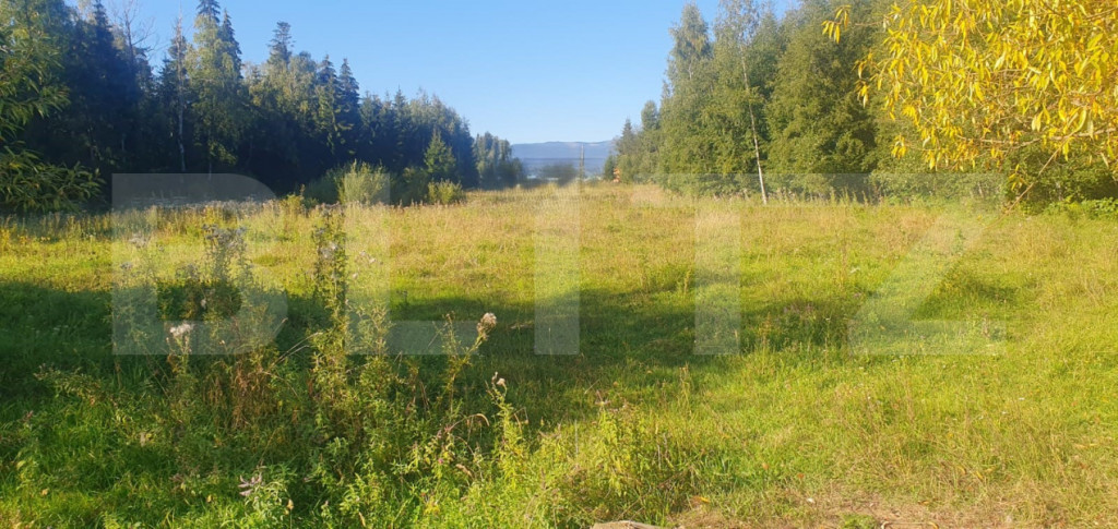 Teren intravilan, 14.540 mp, zona Neagra Sarului - Vatra Dor