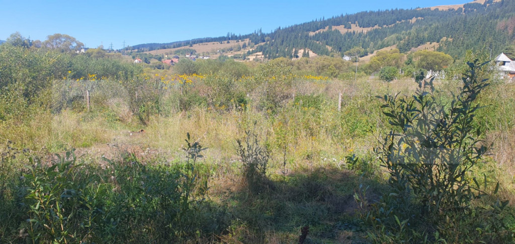 Teren intravilan, 1.105 mp, zona Vatra Dornei