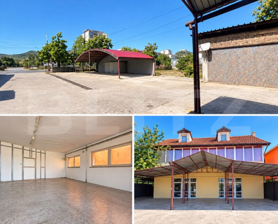 Casa de vanzare, 300 mp, teren 1023 mp, zona Zarand