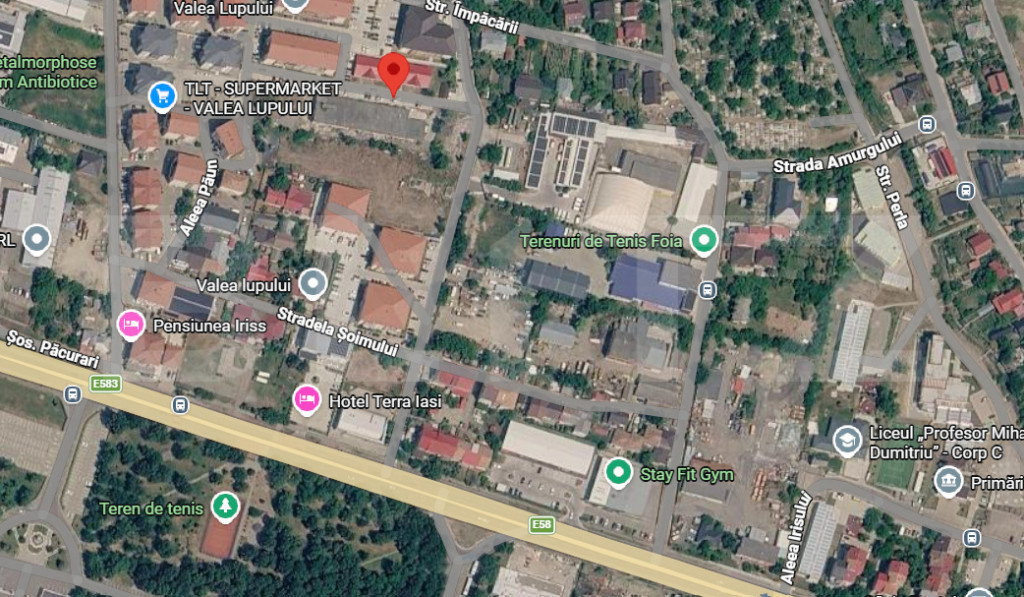 TEREN 9444 MP | VALEA LUPULUI TOATE UTILITĂȚILE