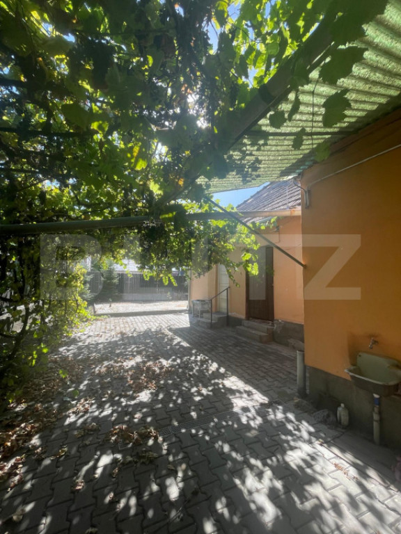 Casa de inchiriat, 50 mp, 250 mp teren, zona Centrala