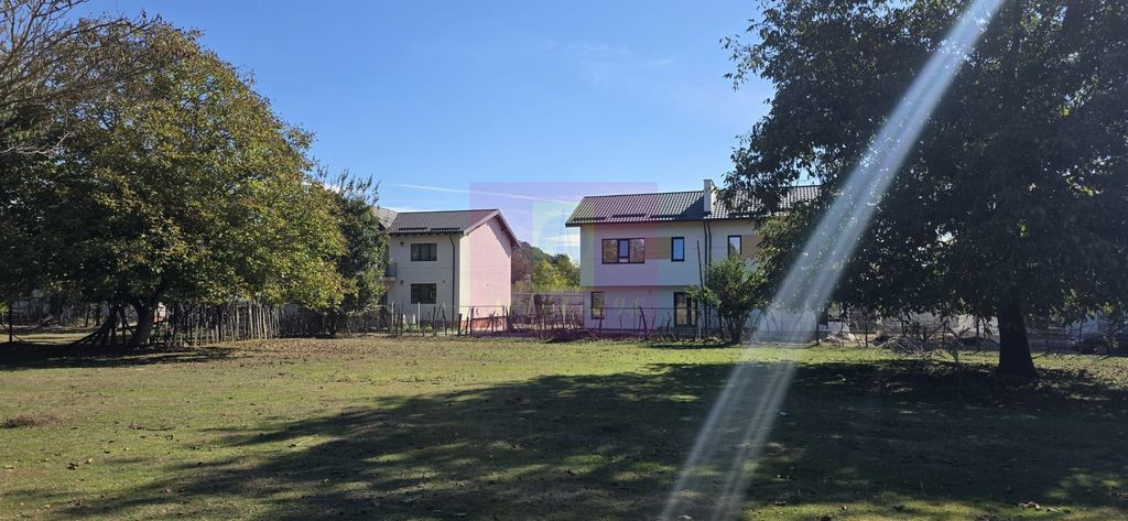 Teren intravilan 10.000 mp de vanzare in Campina