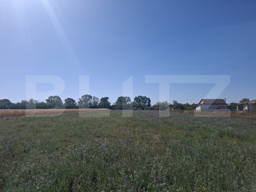 Teren intravilan, 3746 mp, zona Madaras