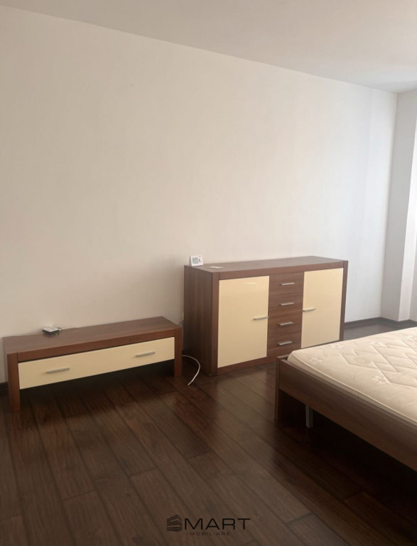 Apartament 1 camera zona Terezian
