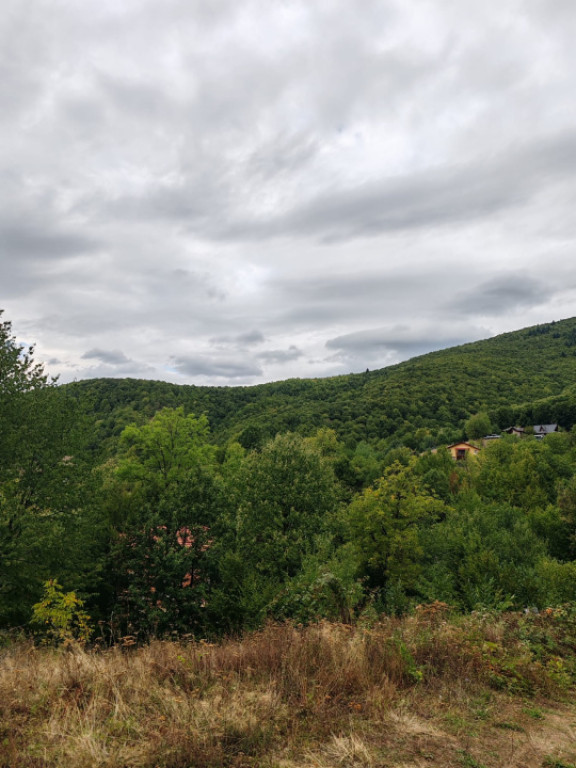 Teren de vanzare, 64 ari, zona Ulmoasa