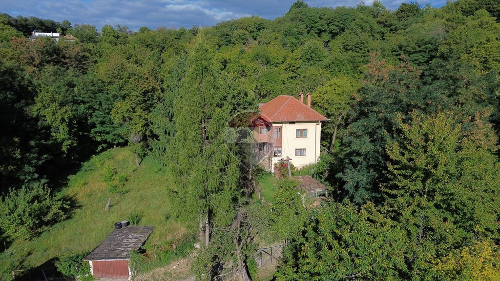Casă in mijlocul naturii in orașul Câmpulung