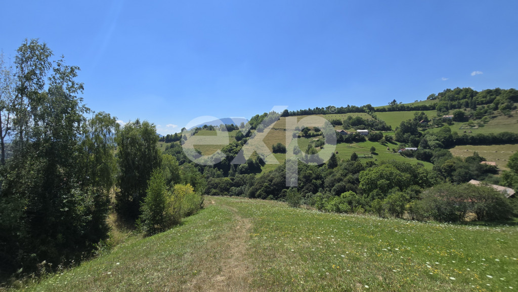 Teren extravilan 19.200 mp – DN1A Săcele, Brădet | Front