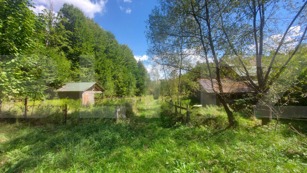 Teren intravilan 1.600 mp + constructie I Natura si liniste